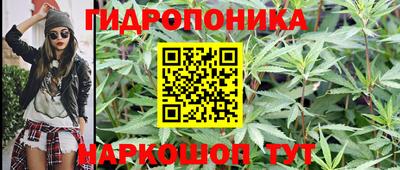 сатива Иваново