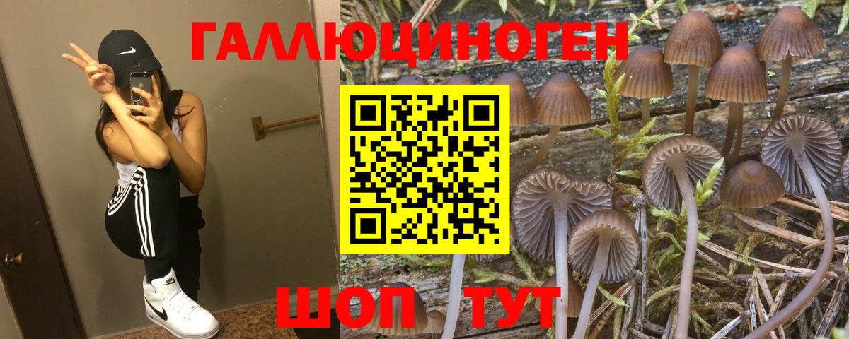 Стрежевой  наркошоп  Вход с VPN  Галлюциногенные грибы Psilocybine cubensis 